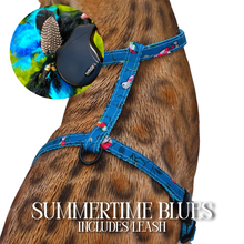 Load image into Gallery viewer, Leash and Harness Set