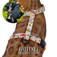Load image into Gallery viewer, XL Harness & Leash Set