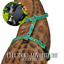 Load image into Gallery viewer, Leash and Harness Set