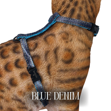 Load image into Gallery viewer, Super Soft Denim Collection