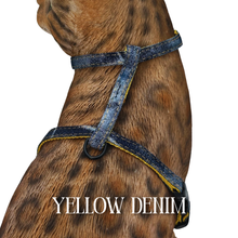 Load image into Gallery viewer, All Harnesses & Collections