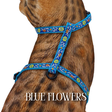 Load image into Gallery viewer, Floral Collection - Escape-Proof Harness