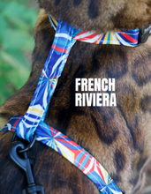 Load image into Gallery viewer, All Harnesses & Collections