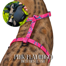 Load image into Gallery viewer, Leash and Harness Set
