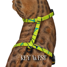 Load image into Gallery viewer, Summer Collection - Escape-Proof Harness