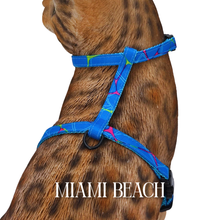 Load image into Gallery viewer, Summer Collection - Escape-Proof Harness