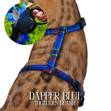 Load image into Gallery viewer, Leash and Harness Set