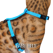 Load image into Gallery viewer, Solid Colors - Escape Proof Harness