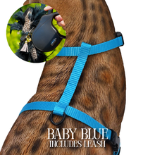 Load image into Gallery viewer, Leash and Harness Set