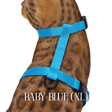 Load image into Gallery viewer, Solid Colors - Escape Proof Harness