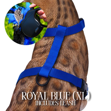 Load image into Gallery viewer, XL Harness & Leash Set