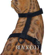 Load image into Gallery viewer, Solid Colors - Escape Proof Harness