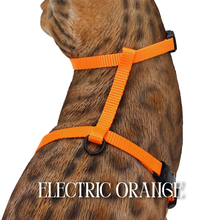 Load image into Gallery viewer, Solid Colors - Escape Proof Harness