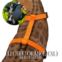 Load image into Gallery viewer, XL Harness & Leash Set