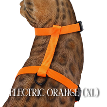 Load image into Gallery viewer, Solid Colors - Escape Proof Harness