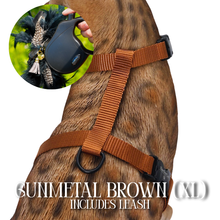 Load image into Gallery viewer, XL Harness & Leash Set