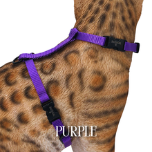 Load image into Gallery viewer, Solid Colors - Escape Proof Harness
