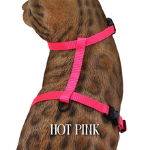 Load image into Gallery viewer, Solid Colors - Escape Proof Harness