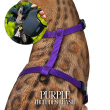 Load image into Gallery viewer, Leash and Harness Set