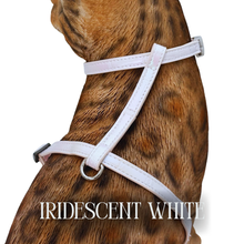 Load image into Gallery viewer, Iridescent Collection- sold separately Hands Free Leash, Escape Proof Harness & collars