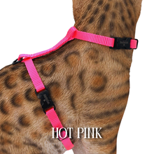 Load image into Gallery viewer, Solid Colors - Escape Proof Harness