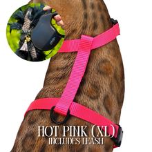 Load image into Gallery viewer, XL Harness & Leash Set