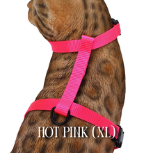 Load image into Gallery viewer, Solid Colors - Escape Proof Harness