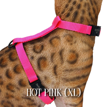 Load image into Gallery viewer, Solid Colors - Escape Proof Harness