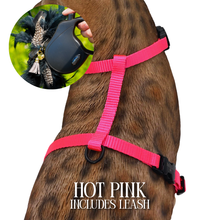 Load image into Gallery viewer, Leash and Harness Set
