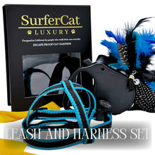 Load image into Gallery viewer, Leash and XL Harness Set