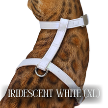 Load image into Gallery viewer, Iridescent Collection- sold separately Hands Free Leash, Escape Proof Harness & collars