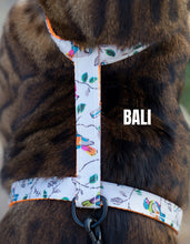 Load image into Gallery viewer, All Harnesses & Collections