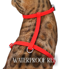 Load image into Gallery viewer, Waterproof Harnesses