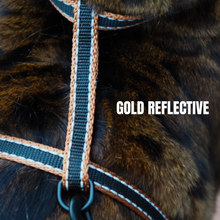 Load image into Gallery viewer, All Harnesses & Collections