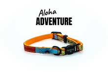 Load image into Gallery viewer, Breakaway Collar