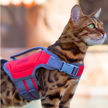 Load image into Gallery viewer, Cat Life Jacket