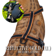 Load image into Gallery viewer, XL Harness & Leash Set