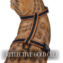 Load image into Gallery viewer, Reflective Harness Collection Escape Proof