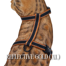 Load image into Gallery viewer, All Harnesses & Collections