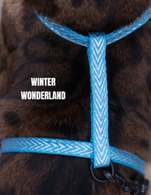 Load image into Gallery viewer, Leash and Harness Set