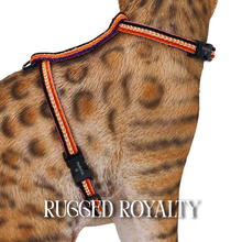 Load image into Gallery viewer, Rugged Glitter Collection - Escape-Proof Harness