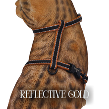 Load image into Gallery viewer, Reflective Harness Collection Escape Proof