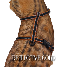 Load image into Gallery viewer, All Harnesses & Collections