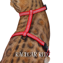 Load image into Gallery viewer, Rugged Glitter Collection - Escape-Proof Harness