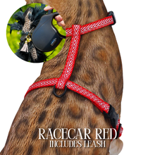 Load image into Gallery viewer, Leash and Harness Set