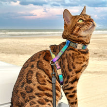 Load image into Gallery viewer, Iridescent Collection- sold separately Hands Free Leash, Escape Proof Harness & collars