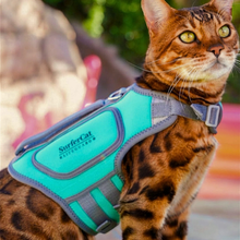 Load image into Gallery viewer, Cat Life Jacket