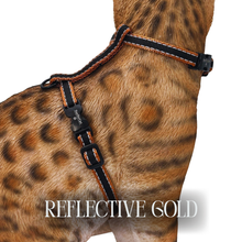 Load image into Gallery viewer, Reflective Harness Collection Escape Proof