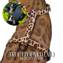 Load image into Gallery viewer, XL Harness & Leash Set