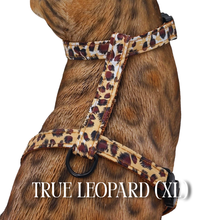Load image into Gallery viewer, All Harnesses & Collections